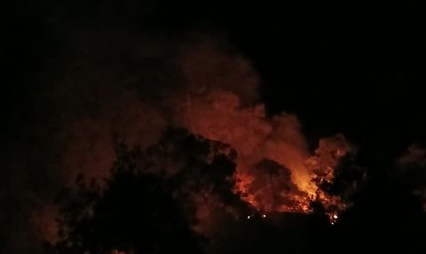 Denizli'deki Orman Yangını Kontrol Altında