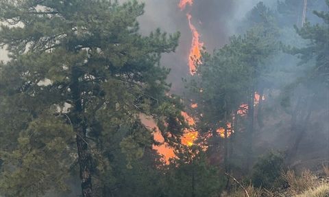 Denizli'deki Orman Yangınına Müdahale Devam Ediyor