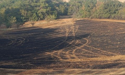 Edirne'de Orman Yangını Kontrol Altına Alındı