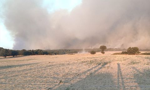 Edirne'de Orman Yangınına Müdahale Başladı