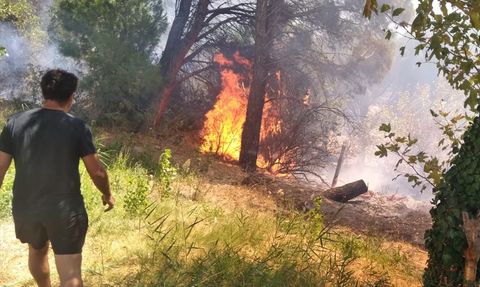 Erdek'teki Orman Yangını Kontrol Altına Alındı