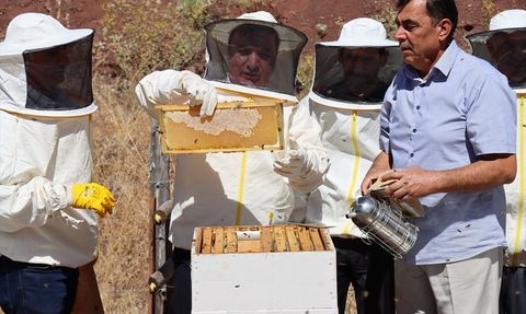 Erzincan Geven Balı Hasadı Gerçekleşti
