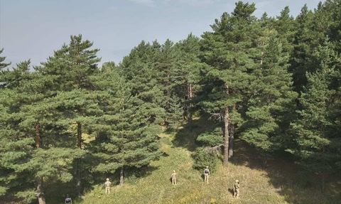 Erzurum'da Ormanlık Alanlarda Mangal Yanlışlığına Ceza