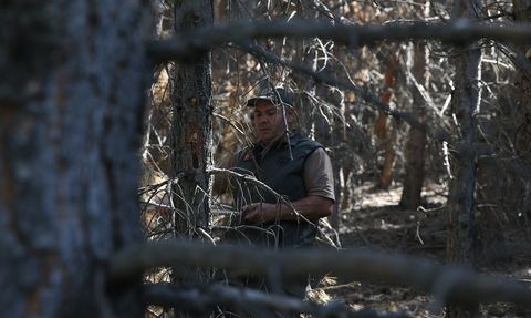 Erzurum Ormanlarında Yangın Tedbirleri: Seyreltme Çalışmaları Başladı