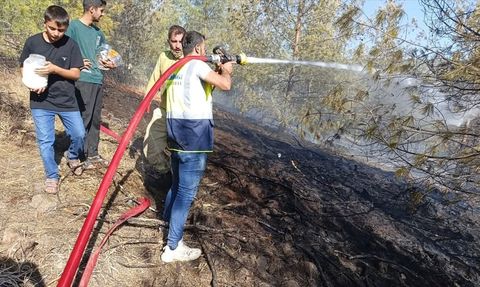Gaziantep'teki Orman Yangını Kontrol Altına Alındı