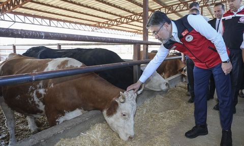 Güçlü Besi Güçlü Üretim Projesi ile Yerli Üretim Artacak