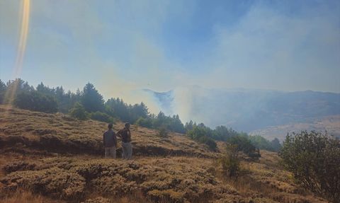Gümüşhane'de Orman Yangınına Müdahale Devam Ediyor