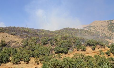Hakkari'deki Orman Yangını Kontrol Altında
