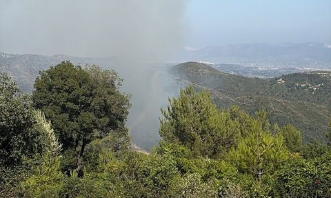 Hatay'da Orman Yangını Kontrol Altına Alındı