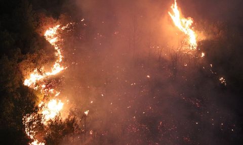 Hatay'da Orman Yangını: Müdahale Devam Ediyor