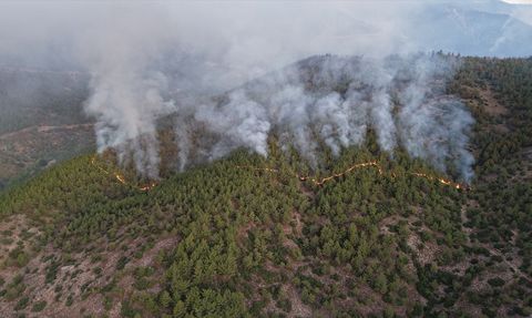 Hatay'da Orman Yangınına Müdahale Başlatıldı