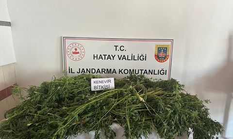 Hatay'da Uyuşturucu Operasyonu: 5 Şüpheli Gözaltında