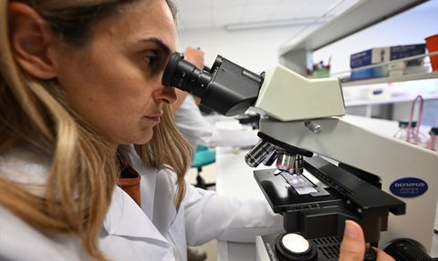 İklim Değişikliği Kestane Balının Kalitesini Etkiliyor