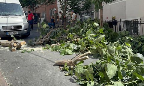 İstanbul'da Fırtına Hayatı Olumsuz Etkiliyor