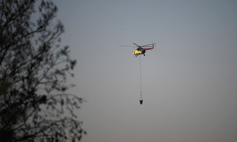 İzmir'de Mahalle Sakinleri Orman Yangınını Anlattı