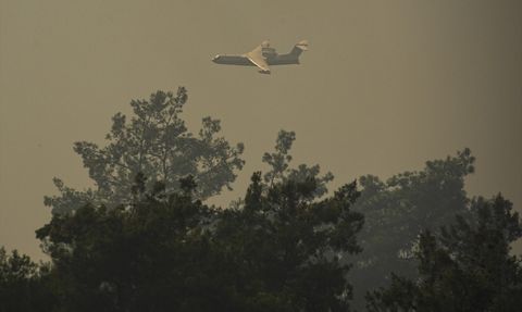 İzmir'de Tarım Alanında Başlayan Yangın Ormana Sıçradı