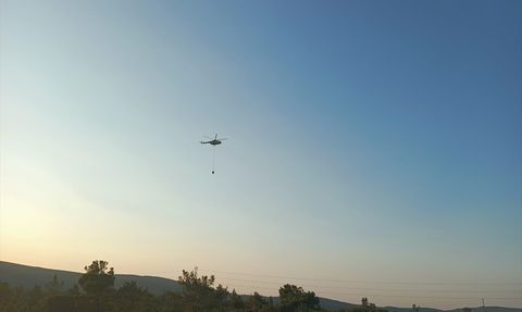 İzmir'de Tarım Alanındaki Yangın Kontrol Altında