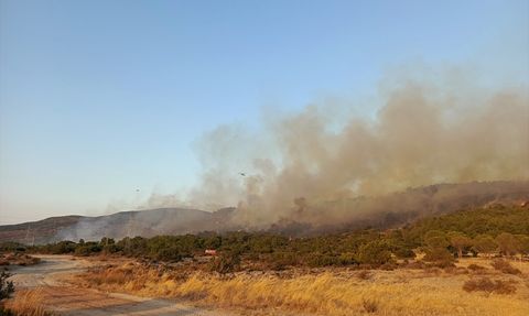 İzmir'de Tarım Alanındaki Yangın Ormana Sıçradı