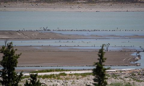 İzmir'deki Alaçatı Kutlu Aktaş Barajı'nda Su Seviyesinin Dramatiği Düşüşü