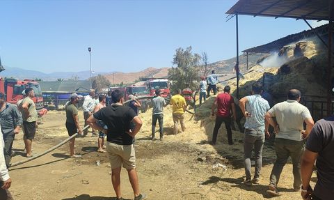 İzmir Ödemiş'te çiftlik yangını: 16 büyükbaş telef, ~500 balya saman yandı