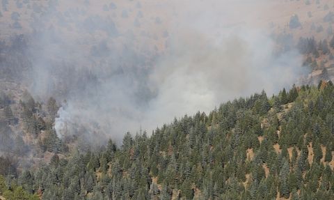 Kahramanmaraş'taki Orman Yangınına Hızlı Müdahale