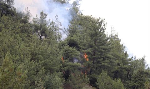 Karabük'teki Orman Yangını Kontrol Altına Alındı