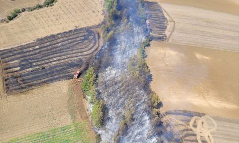 Karaisalı'daki Orman Yangını Kontrol Altına Alındı
