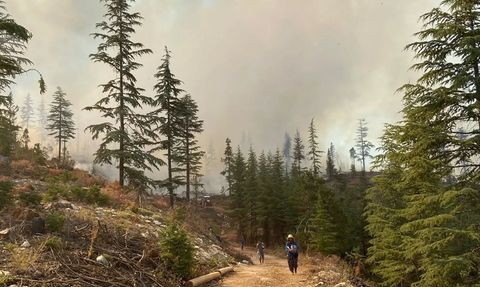 Karaman'da Orman Yangınlarına Hızla Müdahale