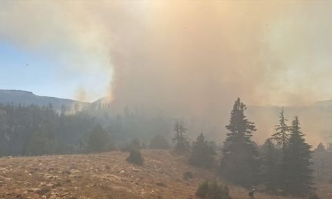 Karaman'daki Orman Yangınlarına Yoğun Müdahale Devam Ediyor