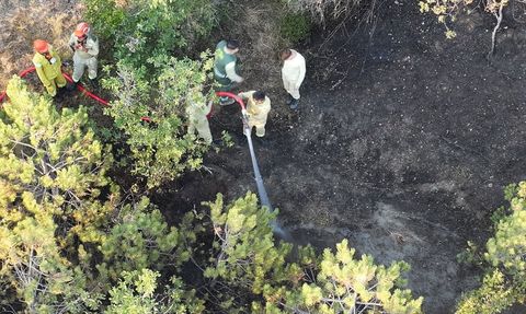 Kastamonu'daki Orman Yangını Kontrol Altına Alındı