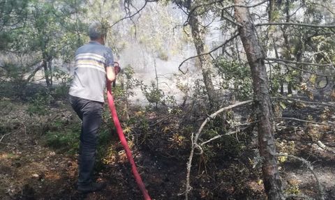 Kastamonu Orman Yangını Kontrol Altına Alındı
