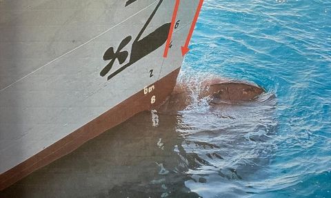 Kaza Soruşturmasında Yeni Gelişmeler: 'Arel 7' Gemisinin Görüntüleri Ortaya Çıktı