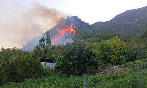 Hatay Kırıkhan'daki Orman Yangını Kontrol Altına Alındı