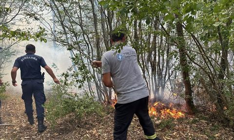 Kırklareli'ndeki Orman Yangını Kontrol Altına Alındı