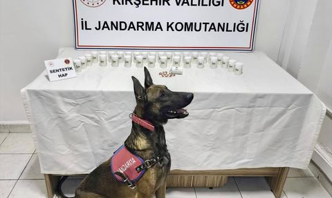 Kırşehir'de Uyuşturucu Operasyonu: 2 Tutuklama