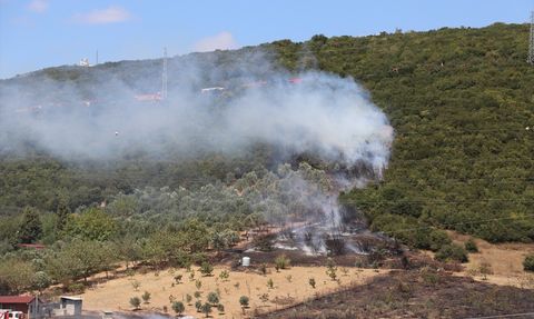 Kocaeli'de Ağaçlık Alandaki Yangın Kontrol Altına Alındı