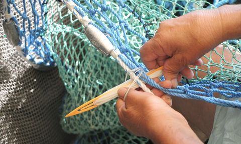 Kocaeli'de Balıkçıların Yeni Av Sezonu Heyecanı