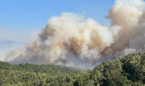 Kocaeli'de Orman Yangınına Hava ve Kara Müdahalesi