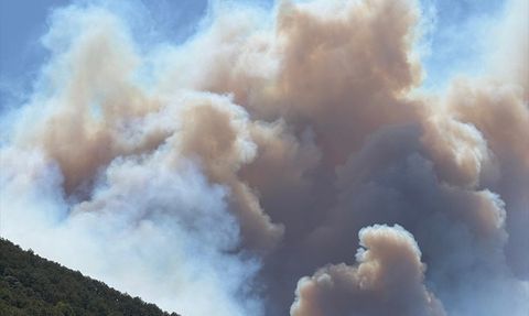 Kocaeli'deki Orman Yangınına Müdahale Devam Ediyor