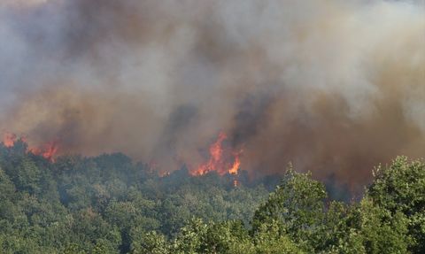 Kocaeli'deki Orman Yangınına Müdahale Sürüyor