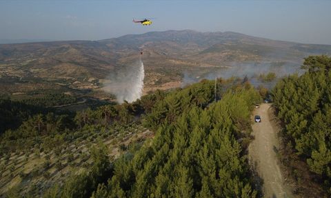 Manisa'da Orman Yangını Kontrol Altına Alındı