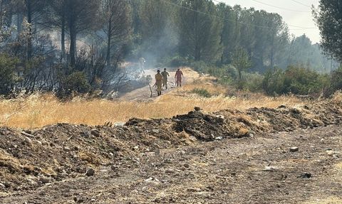 Manisa'da Orman Yangınlarına Müdahale Devam Ediyor
