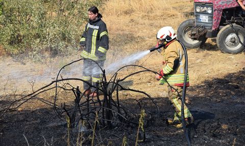 Manisa'da Tarım Arazisinde Başlayan Yangın Kontrol Altına Alındı