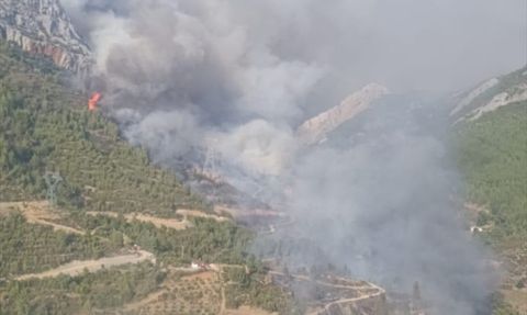 Mersin Anamur'da Orman Yangını Başladı