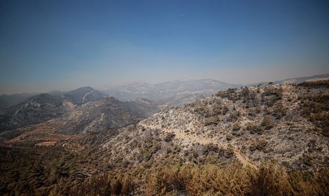 Mersin'in Silifke İlçesindeki Orman Yangını Kontrol Altına Alındı