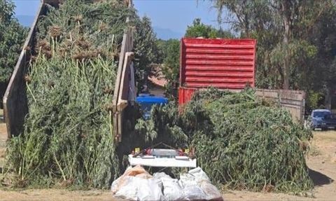 Muğla'da Uyuşturucu ve Tarihi Eser Operasyonu: 3 Zanlı Yakalandı