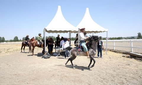 Muş'un Malazgirt İlçesinde 954. Malazgirt Zaferi Coşkusu