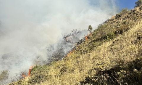 Oltu'da Çıkan Örtü Yangını Kontrol Altına Alındı