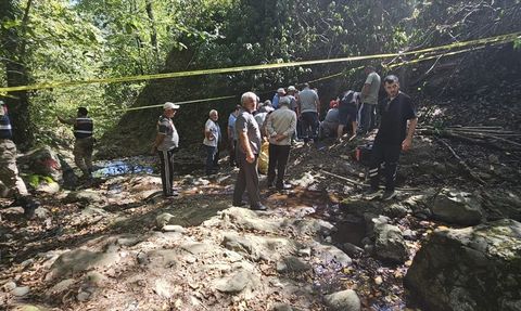 Ordu'da Fındık Toplarken Düşen Kişi Hayatını Kaybetti