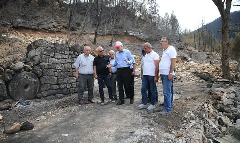 Orman Yangınları ve Koruma Stratejileri